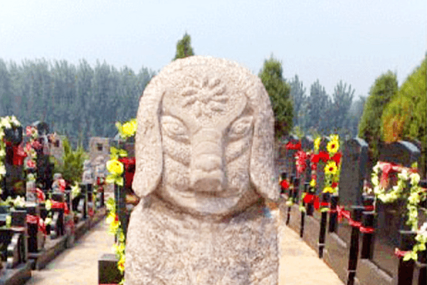 墓区环境